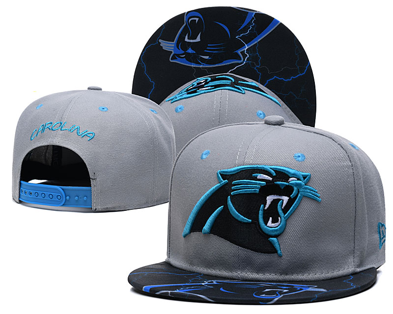 2020 NFL Carolina PanthersTX hat